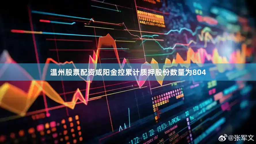 温州股票配资咸阳金控累计质押股份数量为804