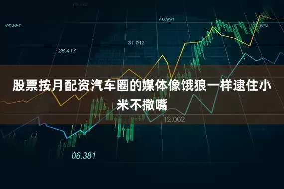 股票按月配资汽车圈的媒体像饿狼一样逮住小米不撒嘴