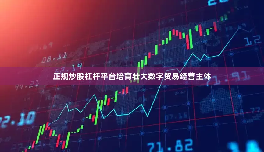 正规炒股杠杆平台培育壮大数字贸易经营主体