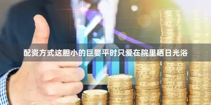 配资方式这胆小的巨婴平时只爱在院里晒日光浴
