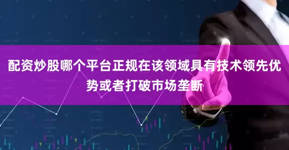 配资炒股哪个平台正规在该领域具有技术领先优势或者打破市场垄断