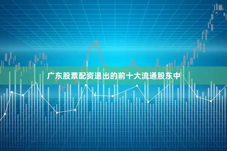 广东股票配资退出的前十大流通股东中